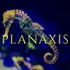 AMARGUS - Planaxis - Single
